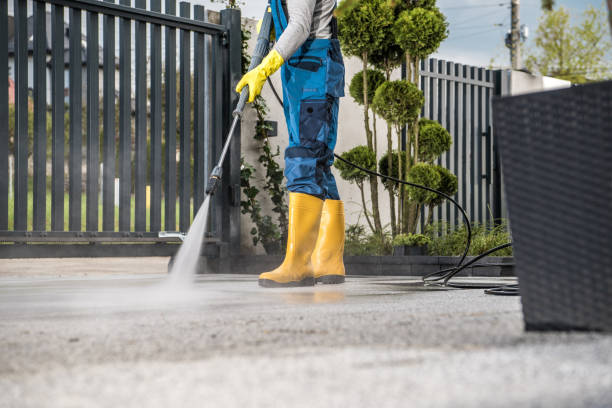 Deck Cleaning Services in Bothell East, WA